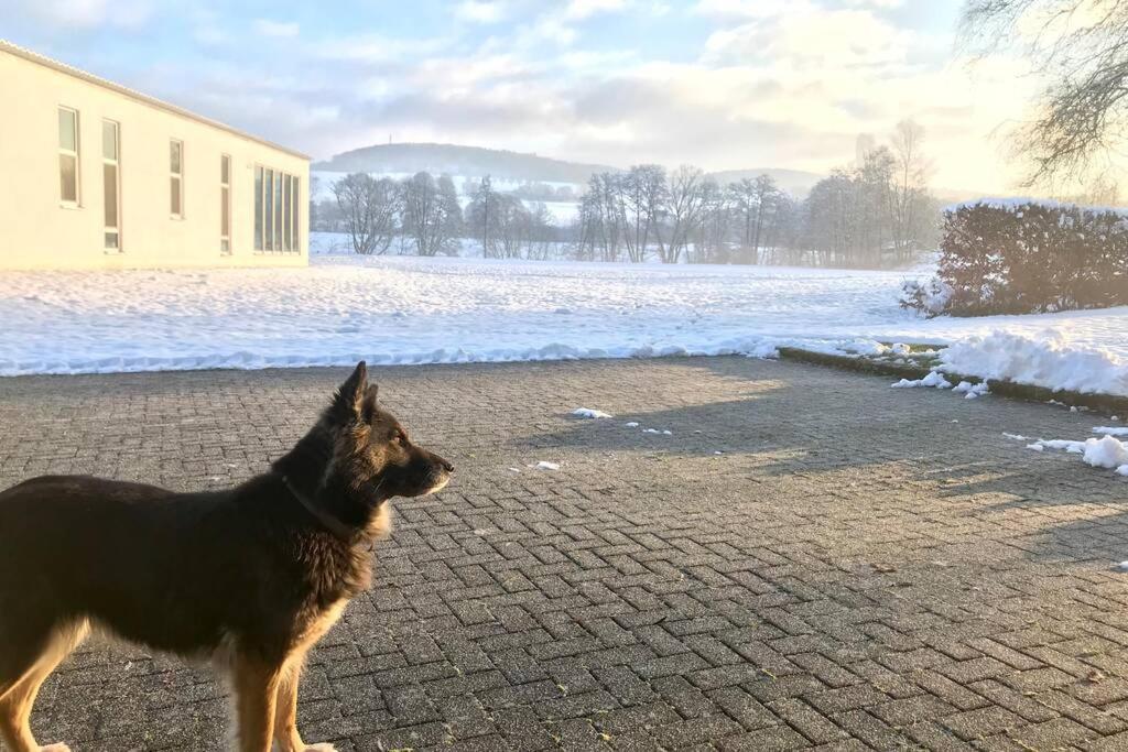 Ferienhaus Talblick Alpenrod Екстериор снимка